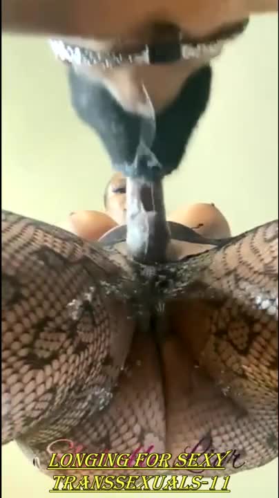 Watch Longing For Sexy Transsexuals 11 Shemale Porn Videos | TranSexBig.