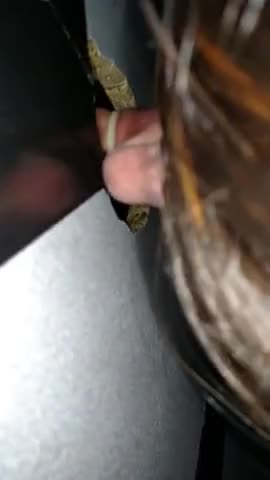Watch Glory hole Shemale Porn Videos | TranSexBig.