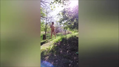 Small tits tranny fucking herslef