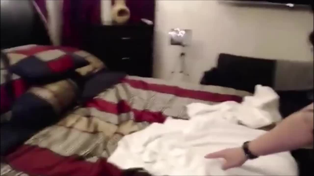 Watch Hot encounter with a thick crossdresser Shemale Porn Videos | TranSexBig.