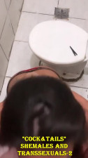 COCK&TAILS Shemales and Transsexuals-2
