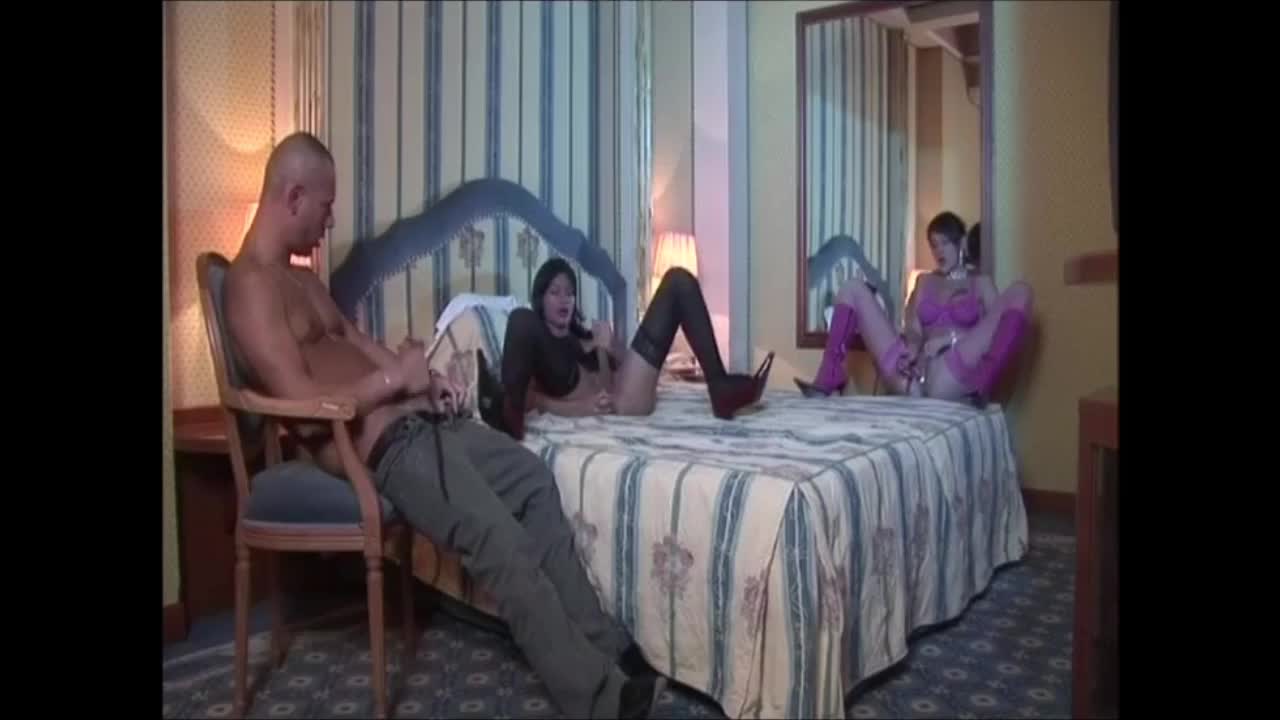 Watch Wonderful shemale having sex with a couple Shemale Porn Videos | TranSexBig.