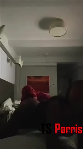 Watch Queen hammers a sissy Shemale Porn Videos | TranSexBig.