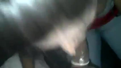 blowjob 1981501 024640 262720