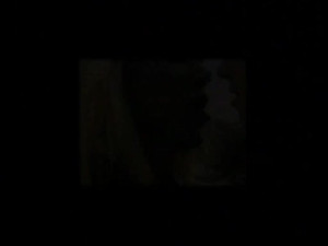 Transsexual beauty queens 27 (2005)