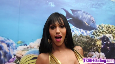 Bootylicious latin ts jerking off big cock in bikini