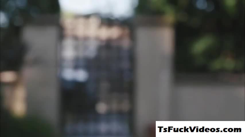 Watch Tranny Kayleigh Coxx sucks enormous dick Shemale Porn Videos | TranSexBig.