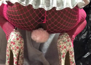 Cute Bunni Dance