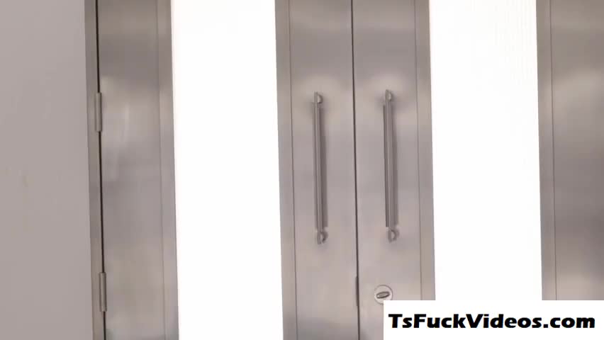 Watch Tranny beauty Casey Kisses ts ass fucked in many angles Shemale Porn Videos | TranSexBig.