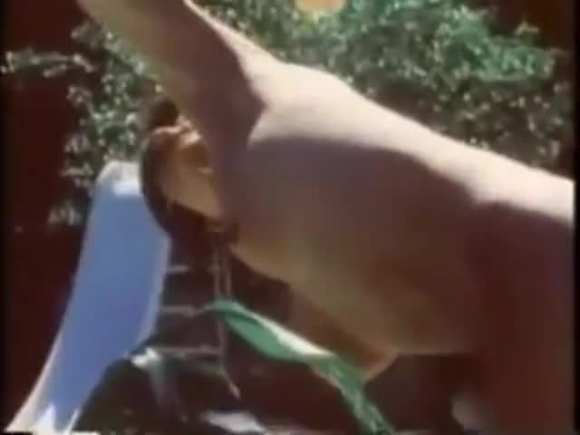 Watch Awesome vintage shemale action with Carnal Shemale Porn Videos | TranSexBig.