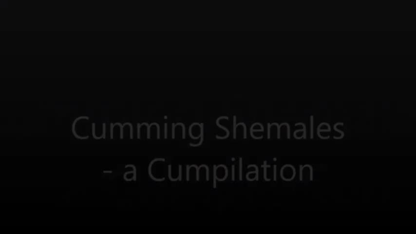 Watch Cumming Shemales A Cumpilation Shemale Porn Videos | TranSexBig.