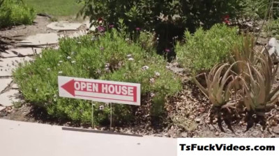 hot shemales Haley and Jenna shrae one dick in threesom