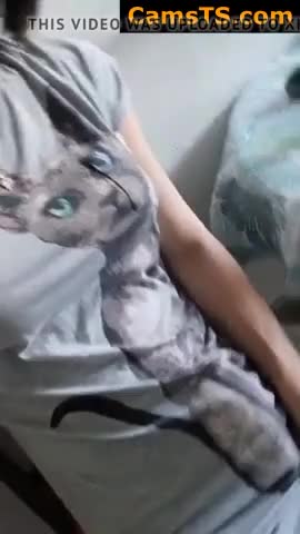 Watch Coffee anyone? Shemale Porn Videos | TranSexBig.