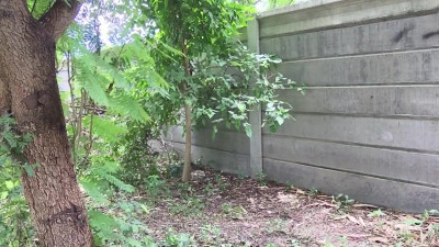 Student ladyboy solo thailand xhzgUvH