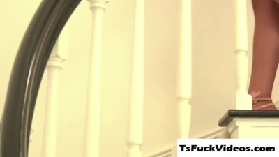 brunette Chanel Santini tight Tranny asshole gets screw