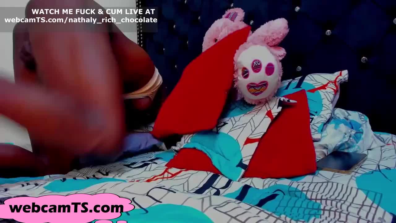 Watch Black TS live Shemale Porn Videos | TranSexBig.