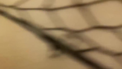 Naughty Trans Cock Play 50