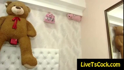 pretty mexican lovense transsexual hot on live webcam p