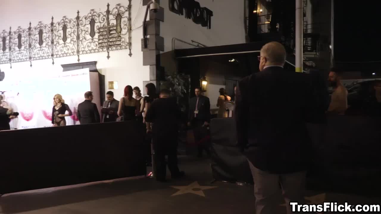 Watch Pretty lady Cadence first time to blowjob a transgeder cock Shemale Porn Videos | TranSexBig.