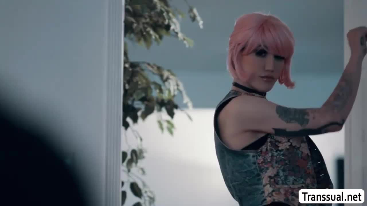 Watch Busty shemale pink haired anal fucked by her stepbrother Shemale Porn Videos | TranSexBig.