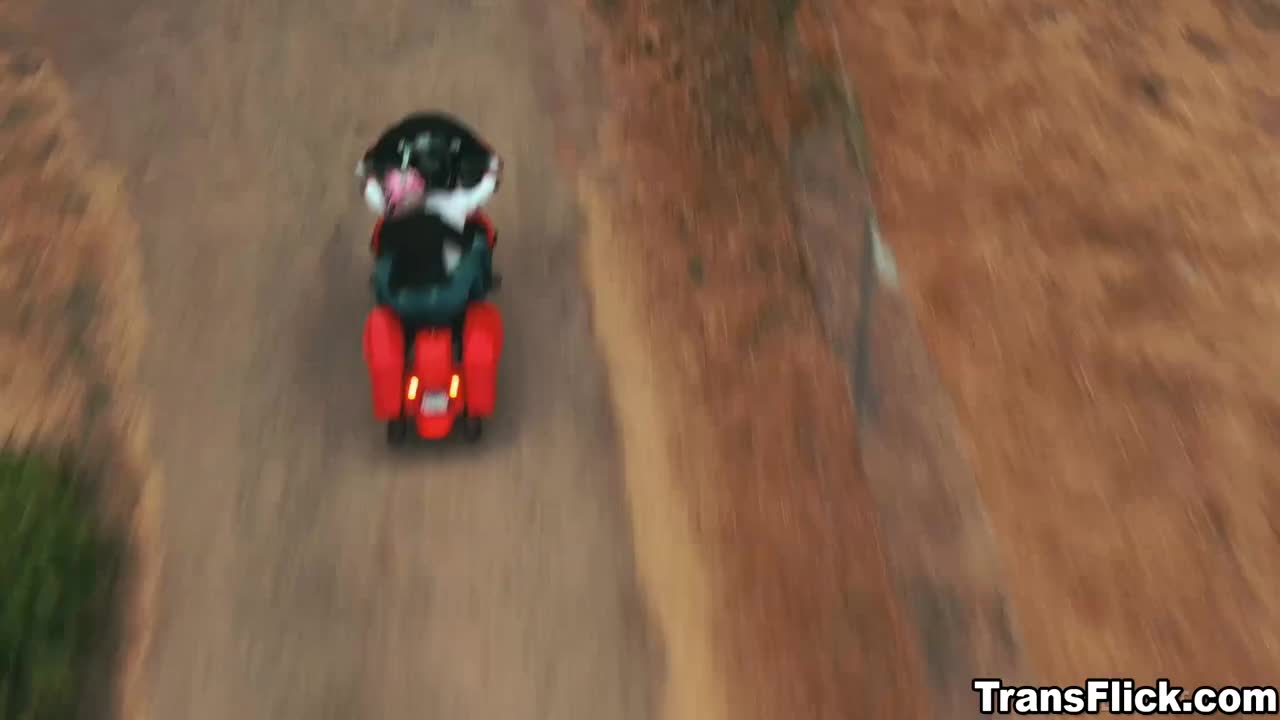 Watch Transgender Aubrey Kate doggystyle babe Gia outdoor Shemale Porn Videos | TranSexBig.