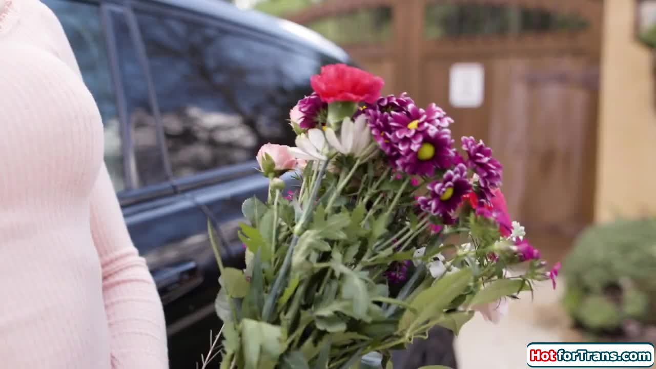 Watch Asian shemale Jessica Fox anals busty tgirl lover Lena Moon Shemale Porn Videos | TranSexBig.