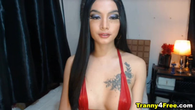 Lovely Tranny Babe Faps her Dick on Cam