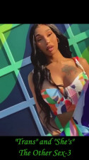 Trans and She's the Other Sex 3