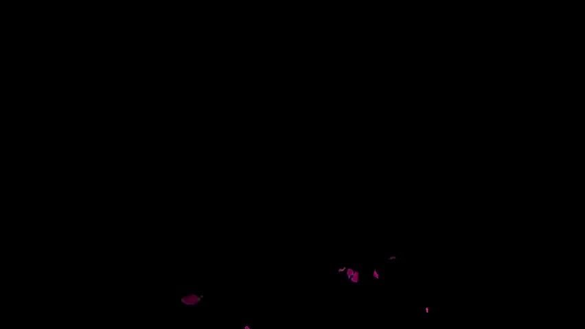 Watch CJ Her Cnstructin Wrker Shemale Porn Videos | TranSexBig.