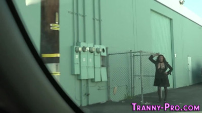 Big tit tranny riding cock