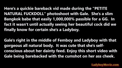 A Bareback Anal Quickie With Asian Ladyboy Gale