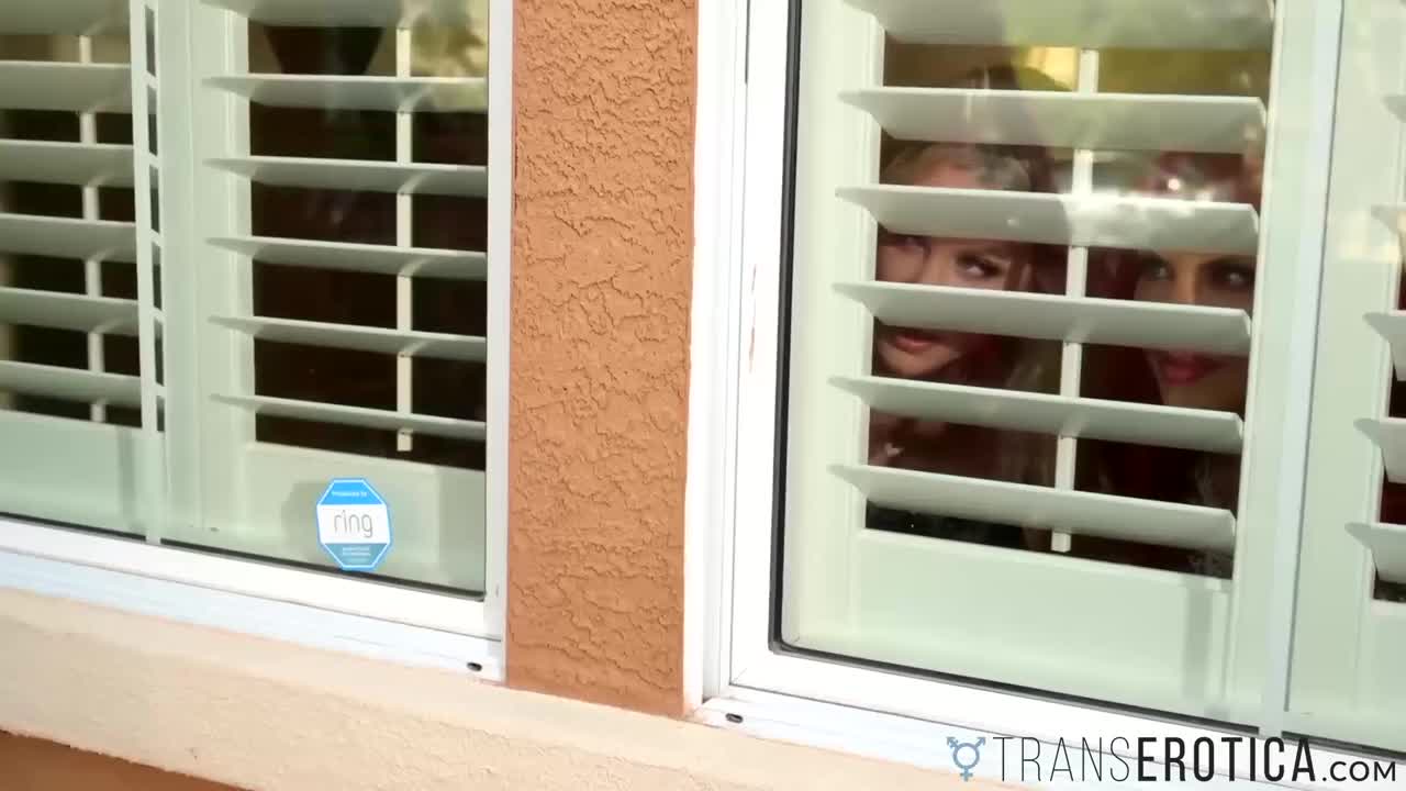 Watch TRANSEROTICA TS Foxxy And Nikki Vicious Fuck Girl In Group Shemale Porn Videos | TranSexBig.