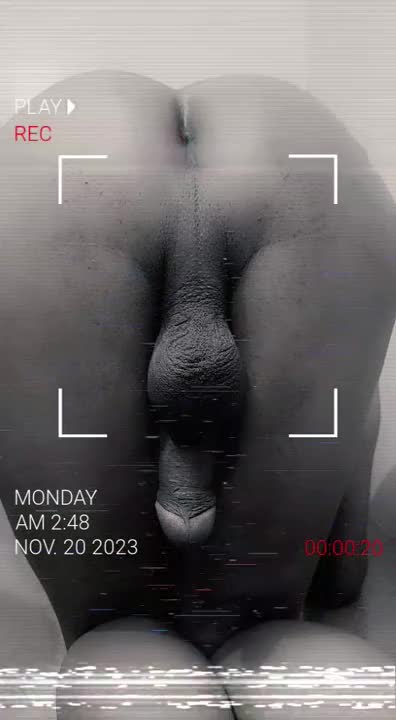 Watch Doggy ass Shemale Porn Videos | TranSexBig.