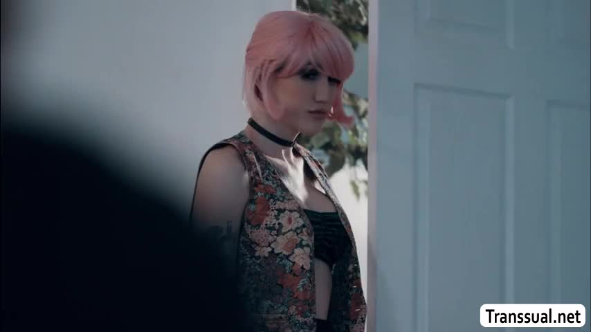 Watch Stepsister TGirl loves giving Stepbro a BJ Shemale Porn Videos | TranSexBig.