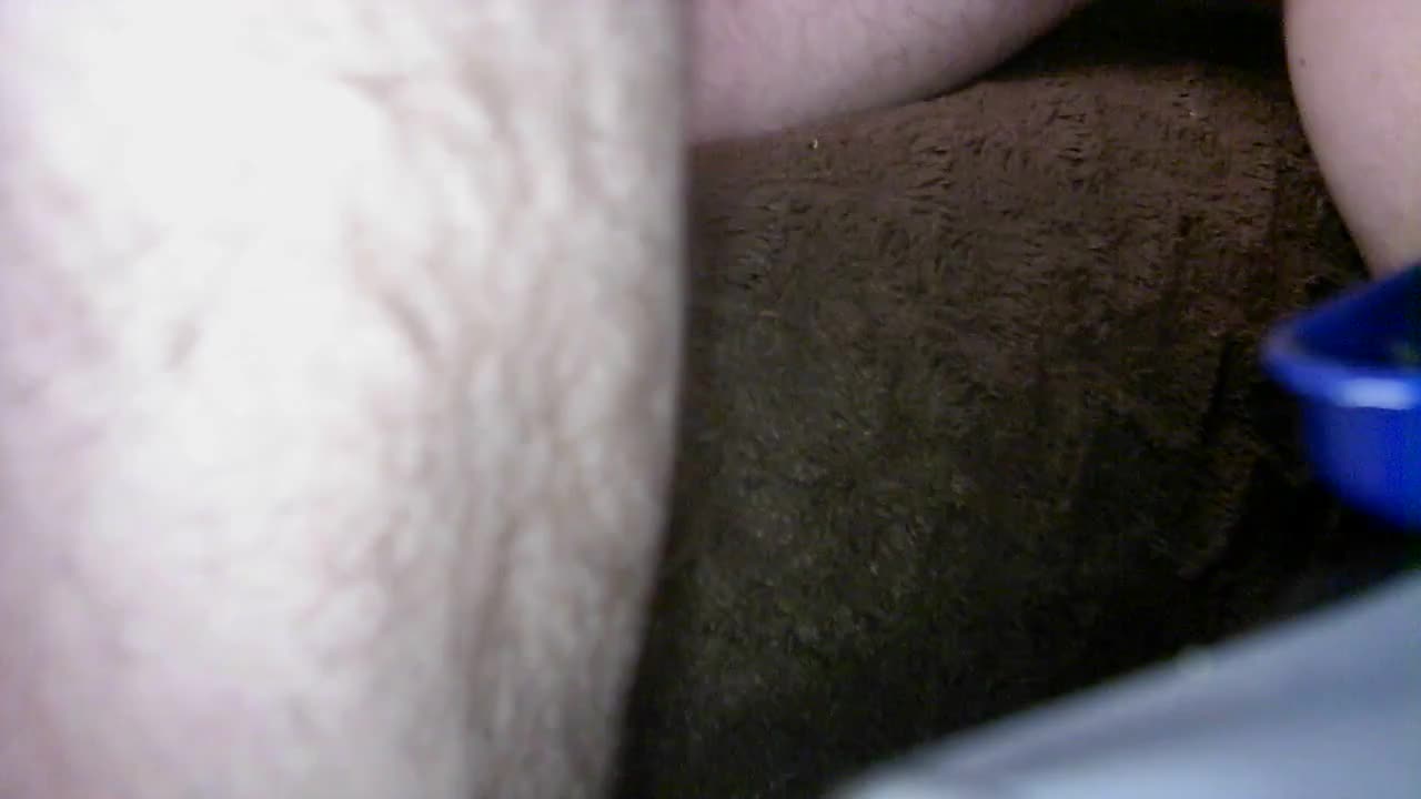 Watch Allein zu hause Shemale Porn Videos | TranSexBig.