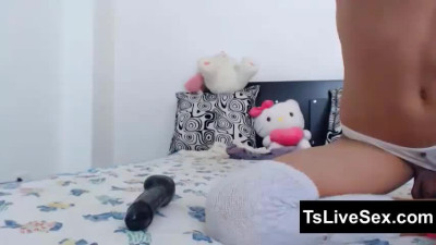 Horny Trans Live Play 8