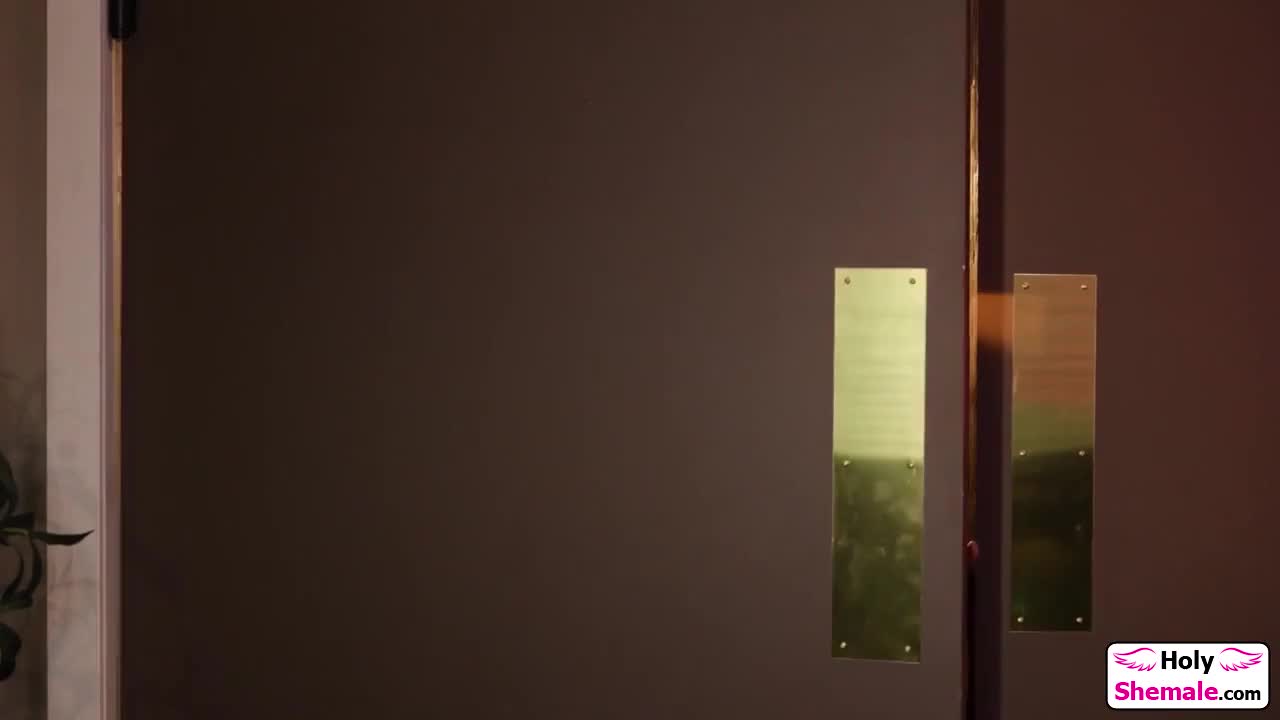 Watch Busty shemale Daisy Taylor sucked and barebacked ifo husband Shemale Porn Videos | TranSexBig.