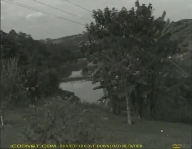 Watch Trans latina Shemale Porn Videos | TranSexBig.