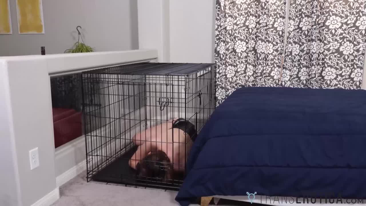 Watch TRANSEROTICA Kinky Cherry Mavrik Submits Trans Jamie French Shemale Porn Videos | TranSexBig.