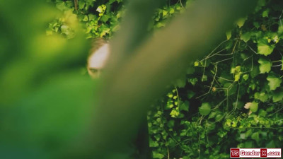 Ebony latin trans Natalia La Potra gets anal fucked outdoors
