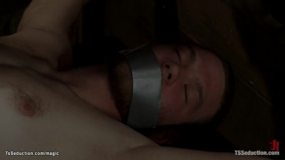 Busty blond TS fucking bound men