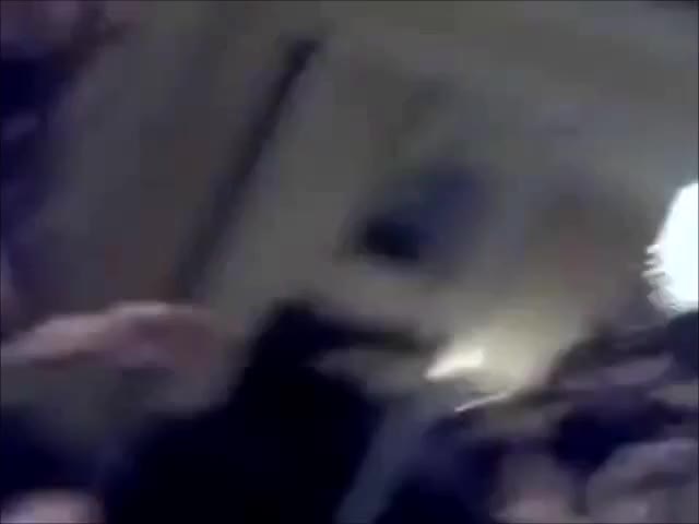 Watch Intense trio fuckfest with two fuckbuddies Shemale Porn Videos | TranSexBig.