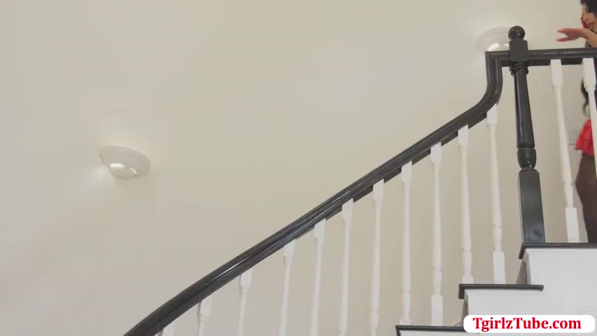 Watch Hot Ladyboy gets a chance to suck a bigcock Shemale Porn Videos | TranSexBig.