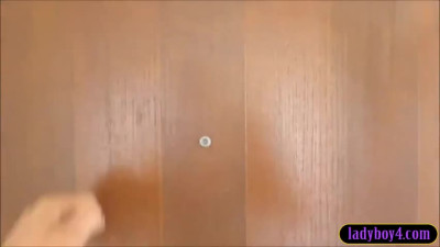 gigantic anus shemale prostitute provides her services