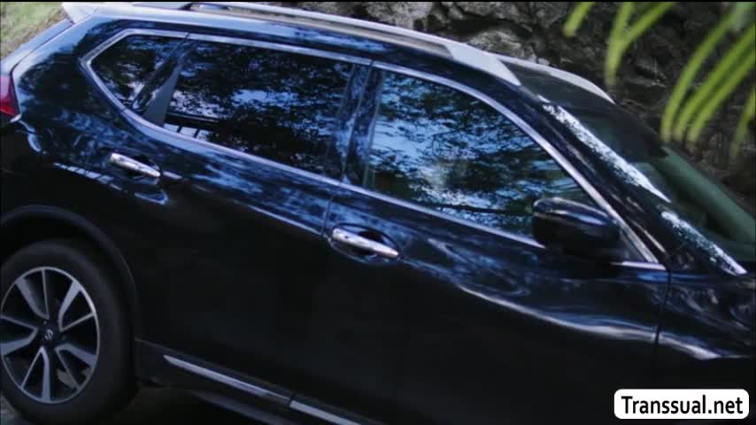 Watch TBabe Nikki loves sucking some bigcock Shemale Porn Videos | TranSexBig.