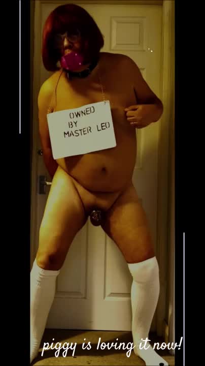 Watch miss piggys dildo fuck part 2 Shemale Porn Videos | TranSexBig.