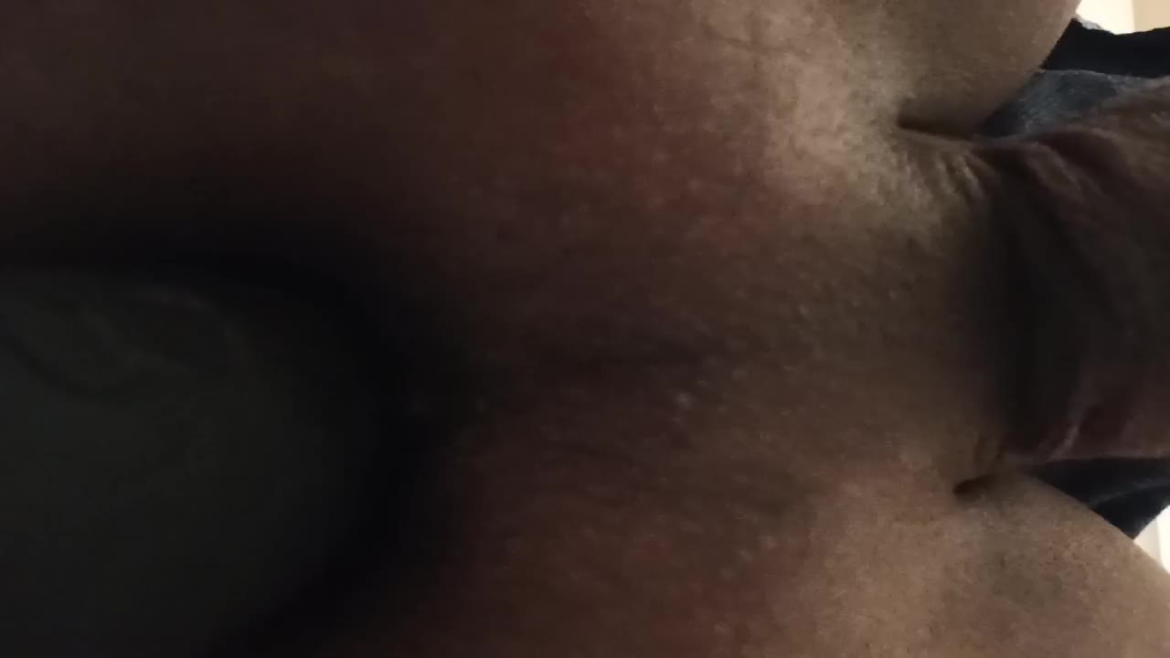 Watch horny sissy Shemale Porn Videos | TranSexBig.