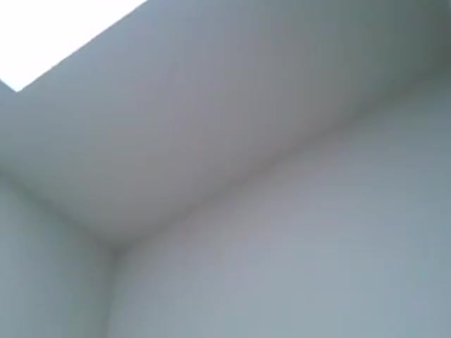 Watch Horny CD 33 Shemale Porn Videos | TranSexBig.