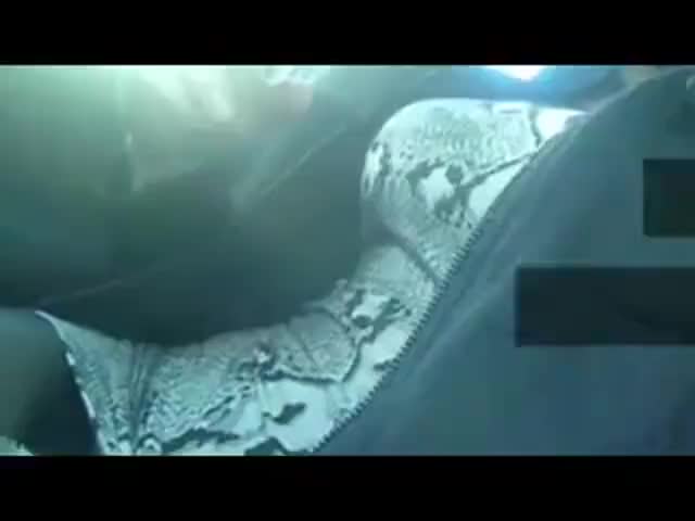 Watch Amateur Crossdresser 233 Shemale Porn Videos | TranSexBig.