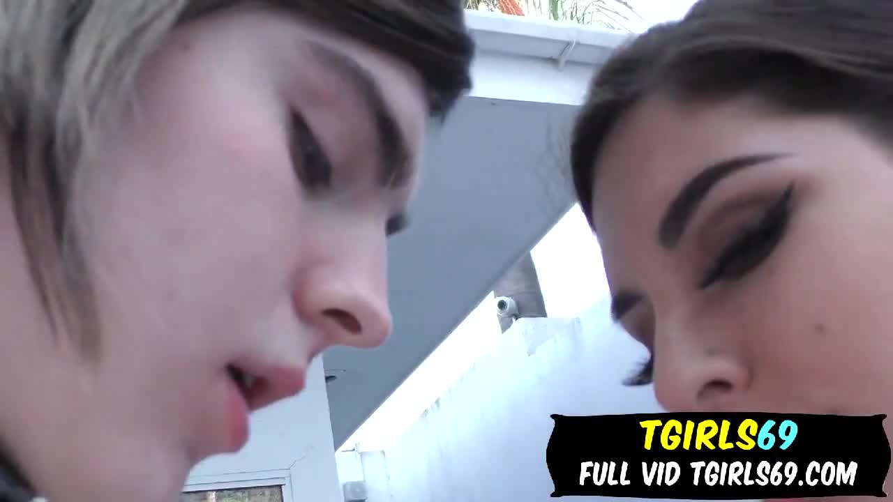 Watch Ella Hollywood Loving Moist Raw Pussy Shemale Porn Videos | TranSexBig.